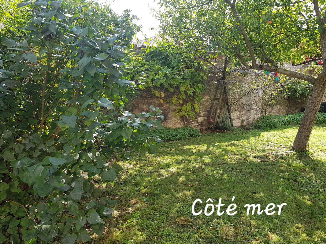 Maison à CIRE-D&#039;AUNIS