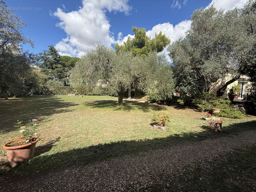 Maison à CAISSARGUES