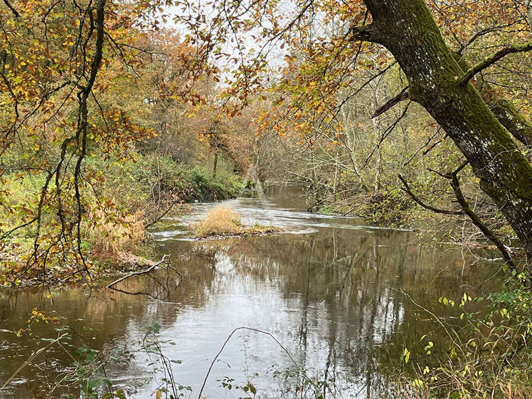 Territoire de chasse avec étang en Sologne - photo 5