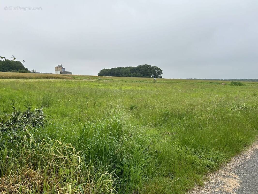 Terrain à SAINT-ARNOULT-DES-BOIS