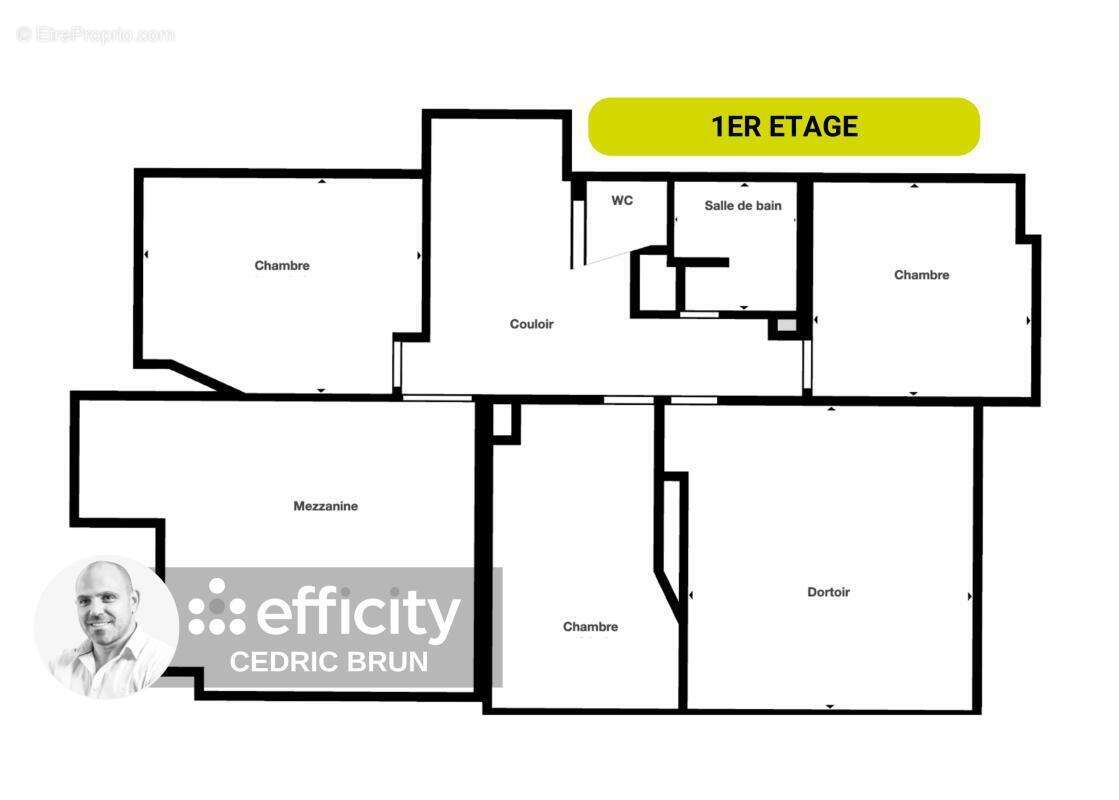 Maison 251 m² à Passy  - photo 15