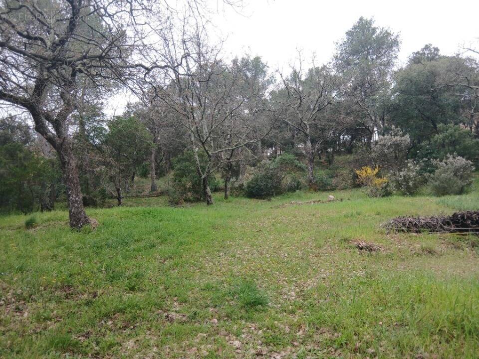 Terrain à CARNOULES