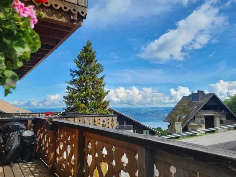 Appartement à THOLLON-LES-MEMISES