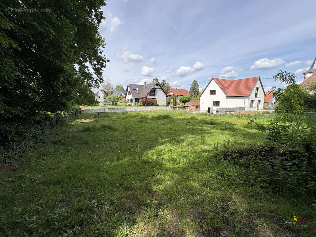 Terrain à ALTECKENDORF