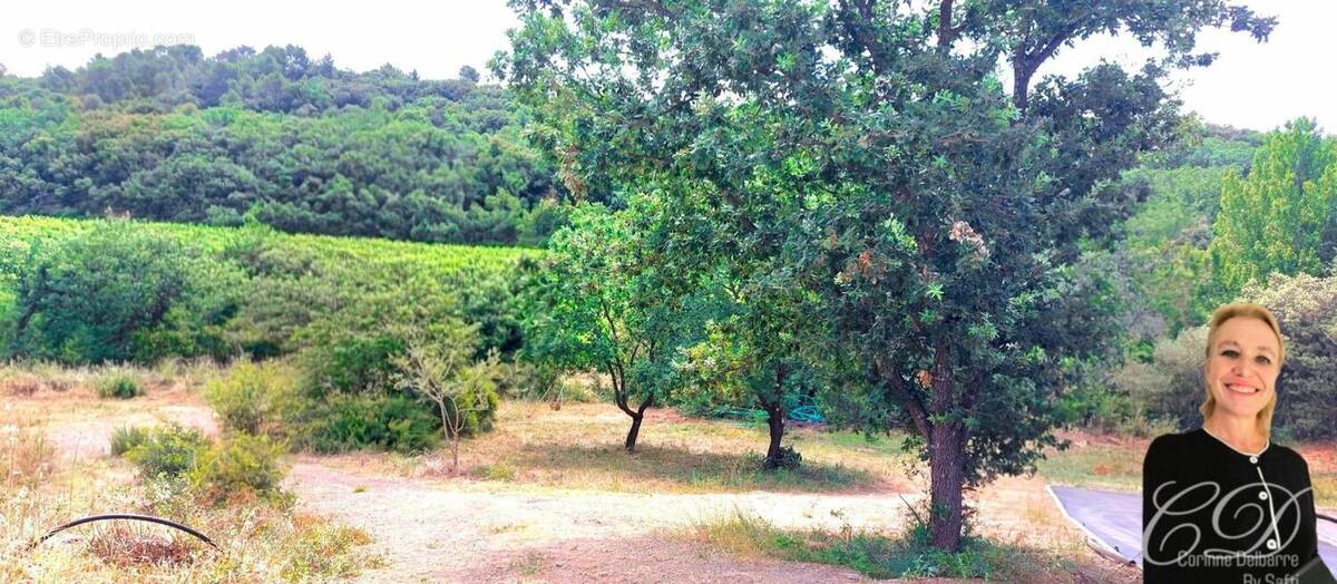 Photo 1 - Terrain à PEZENAS
