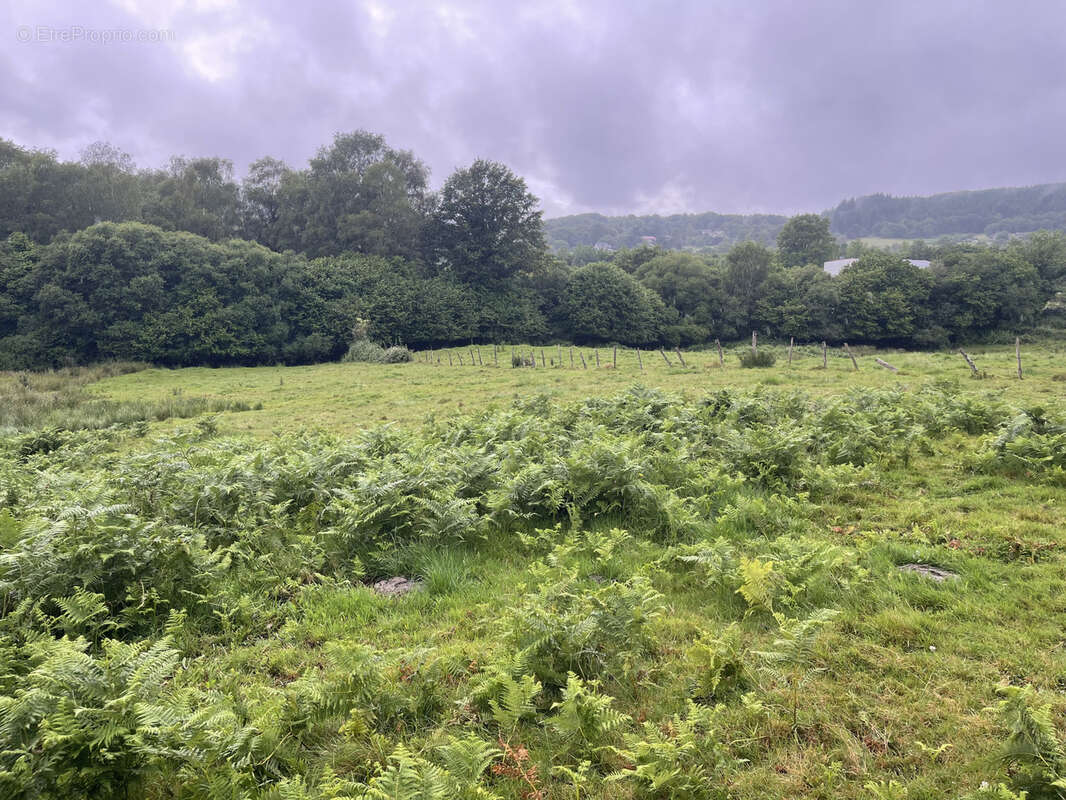 Terrain à RAZES