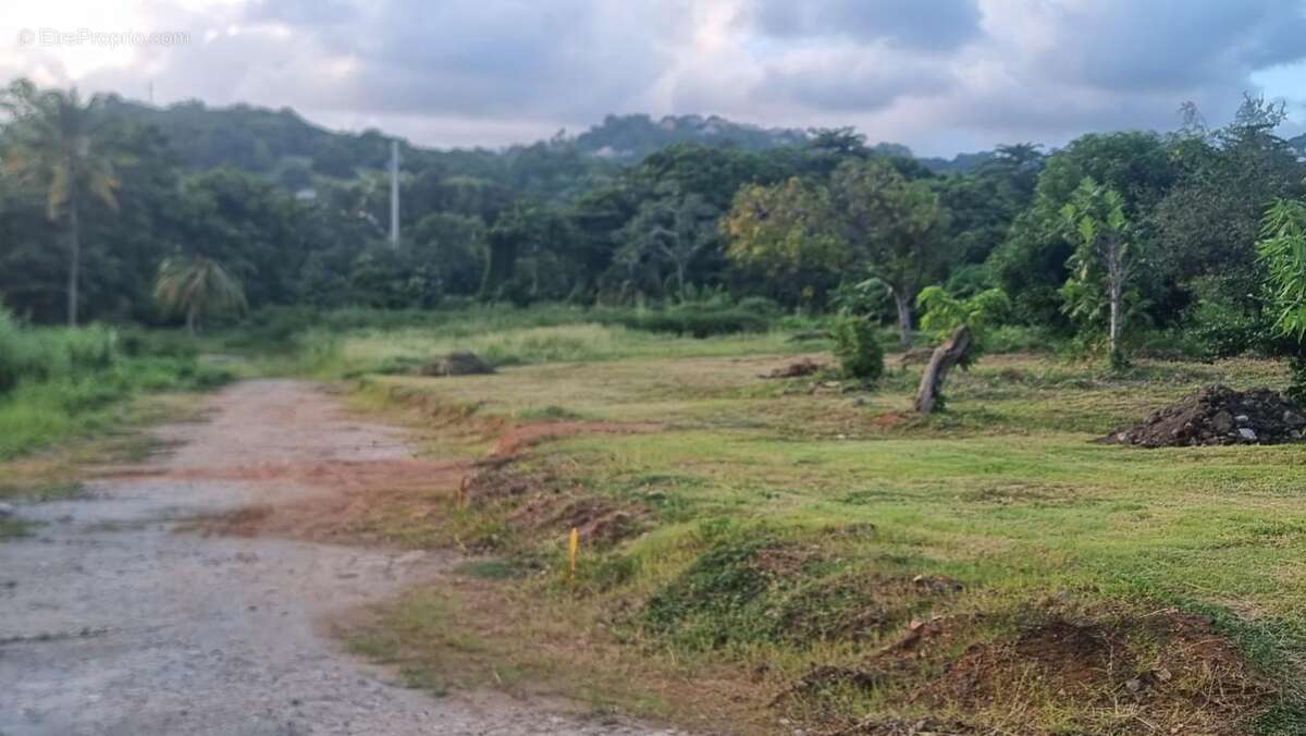 Terrain à LE ROBERT