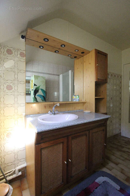 Maison à CHAUMONT-SUR-LOIRE