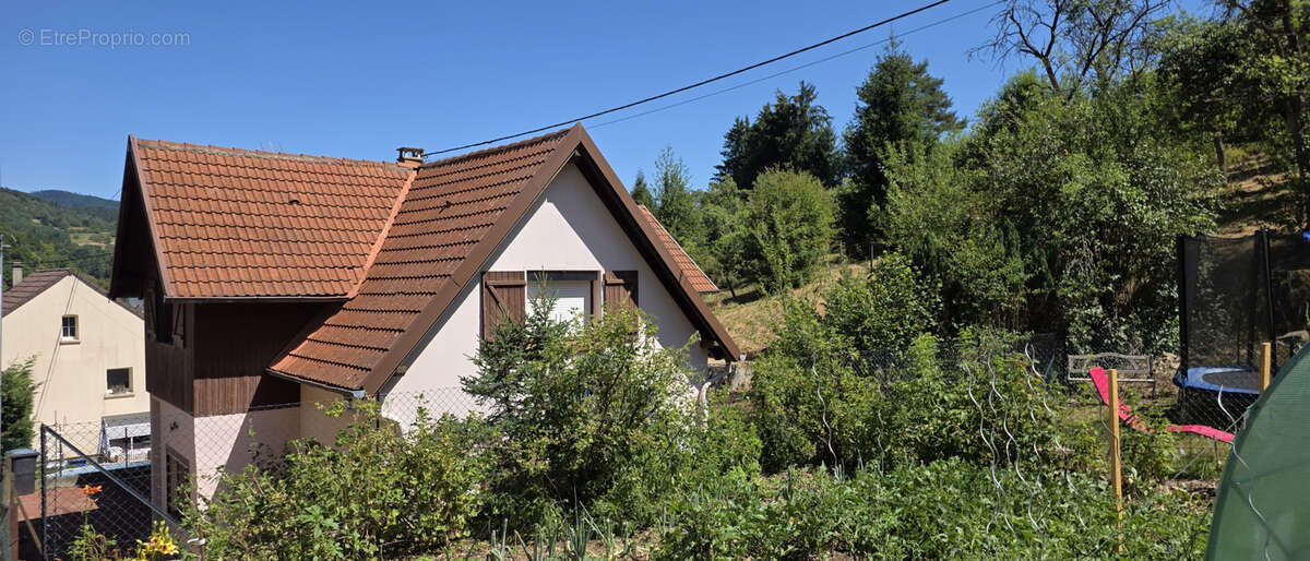 Rothau, grande maison individuelle avec logement indépendant, 12.76 ares. - photo 26