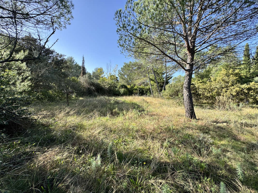 Terrain à MONTFERRIER-SUR-LEZ