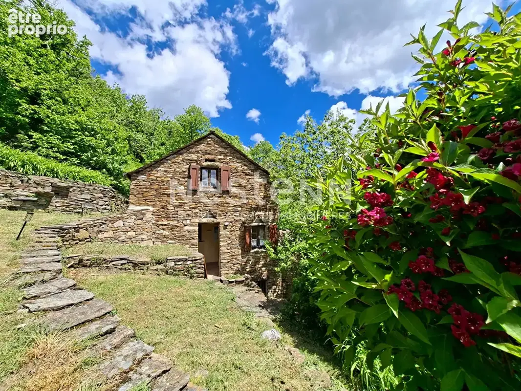 Maison à SAINT-FREZAL-DE-VENTALON