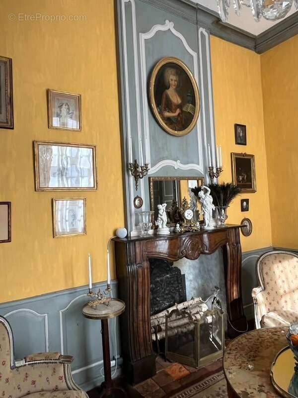 ELEGANT CHATEAU XVIIIs, sans travaux, sur 1 hectare clos de murs, jardin paysagé, chapelle, orangerie, dépendances, pour famille - photo 84