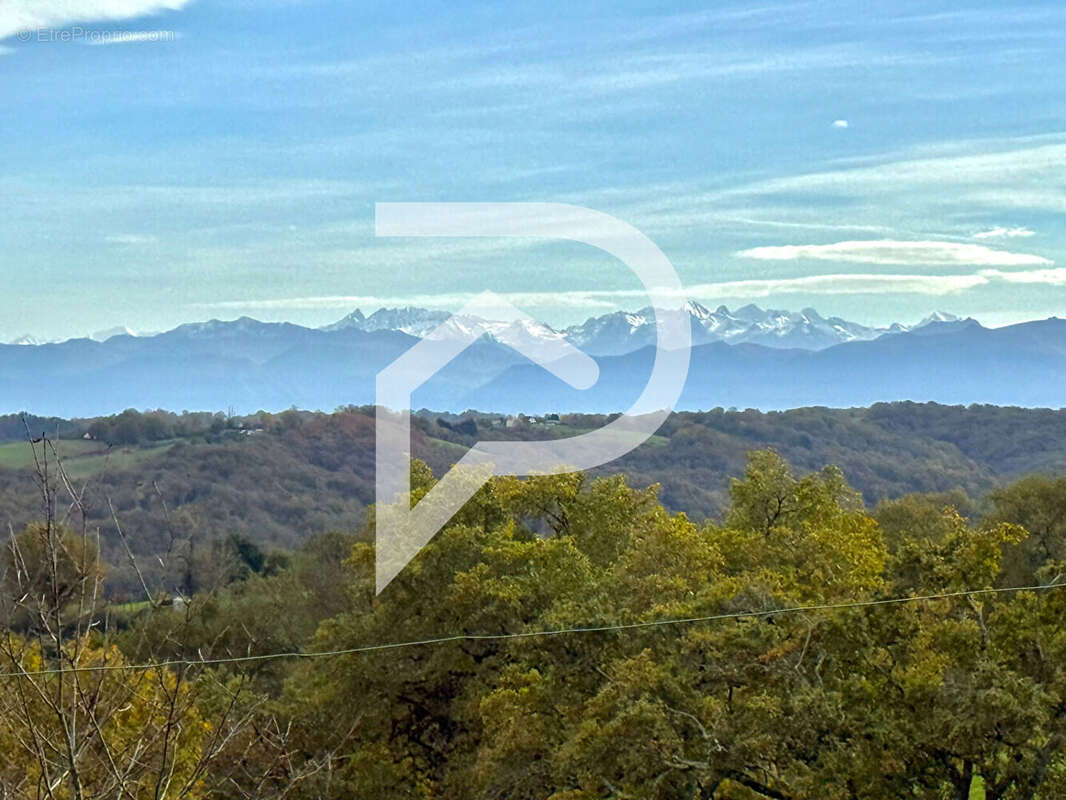 Maison à VIELLESEGURE