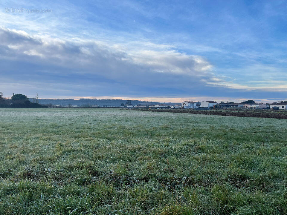 Terrain à LAGRAVE