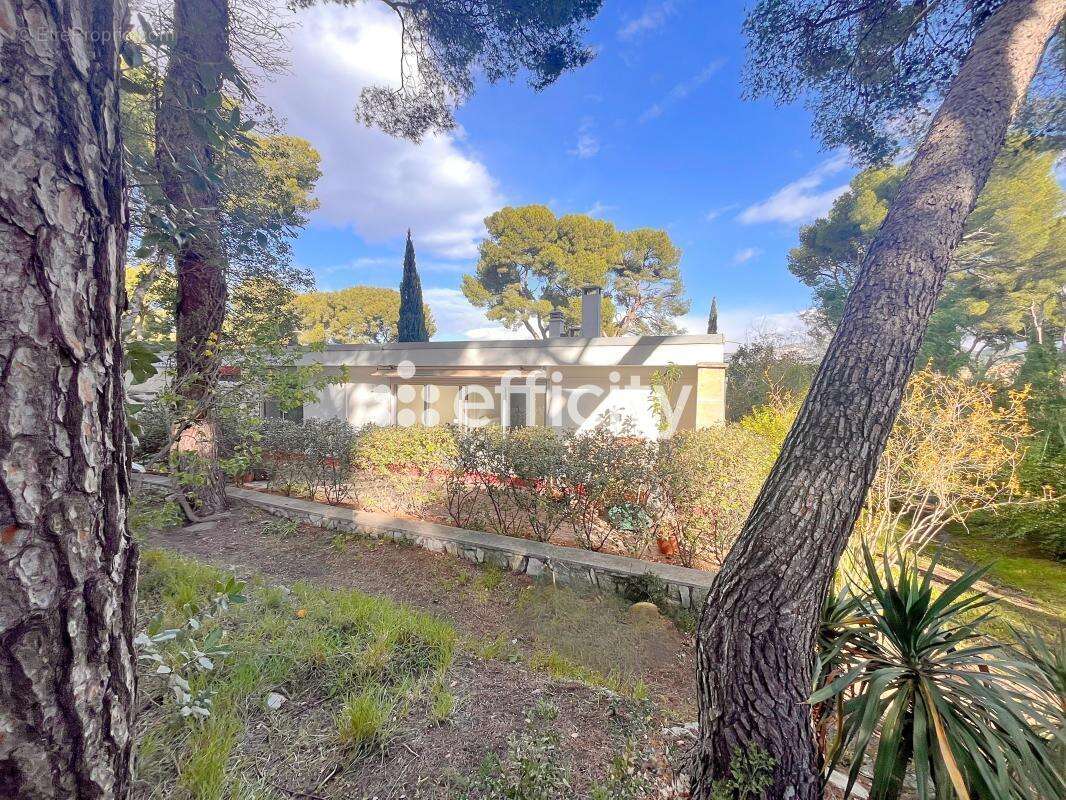 Maison à MARSEILLE-9E