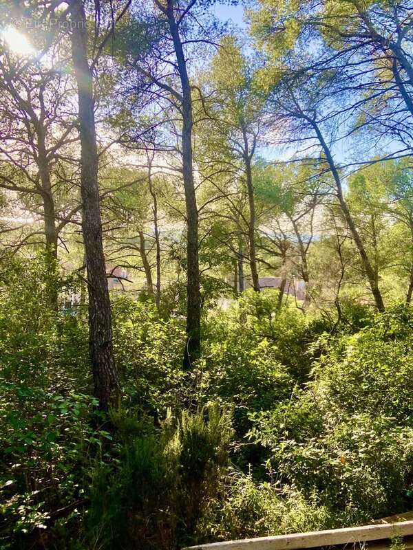 Terrain à SIX-FOURS-LES-PLAGES