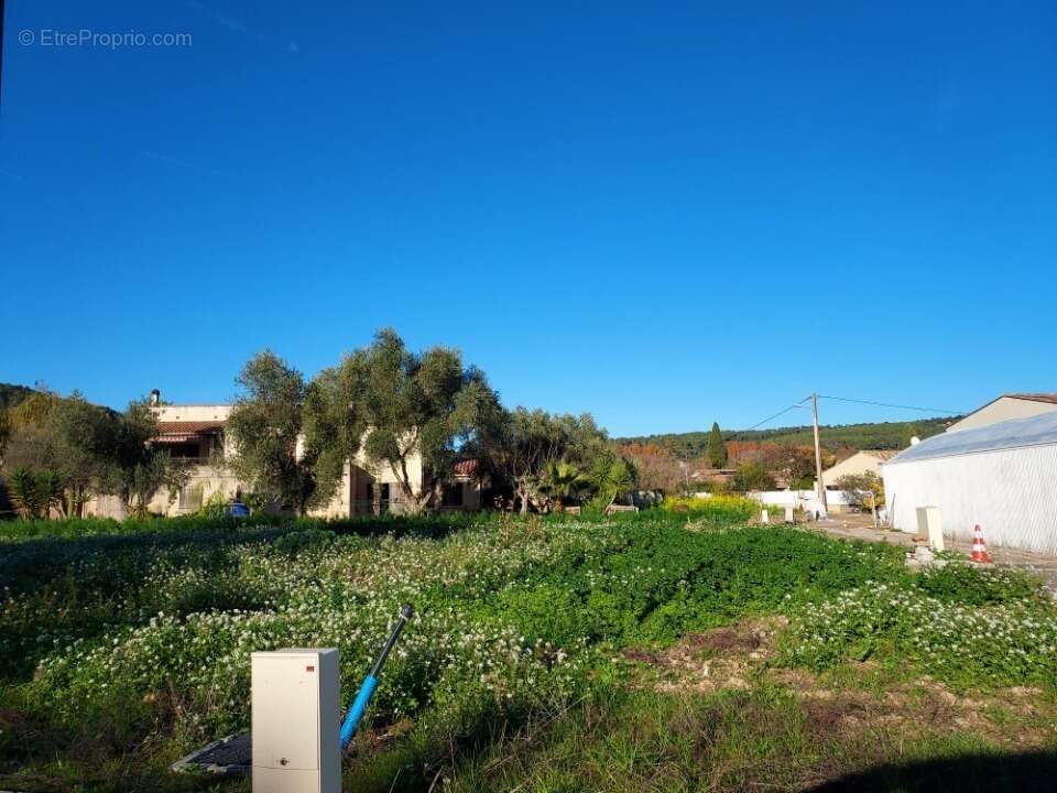 Terrain à CARNOULES