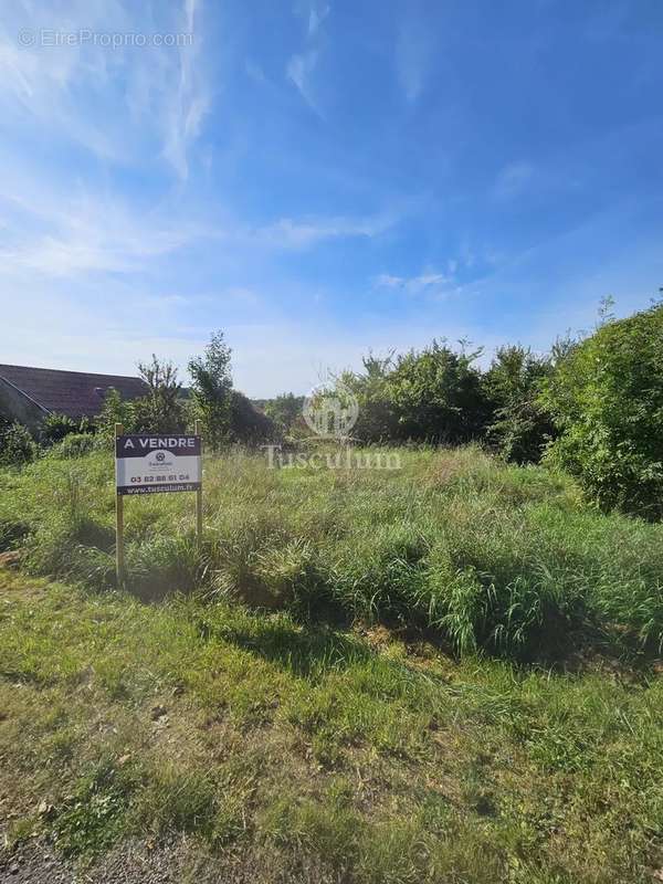 Terrain à REMOIVILLE