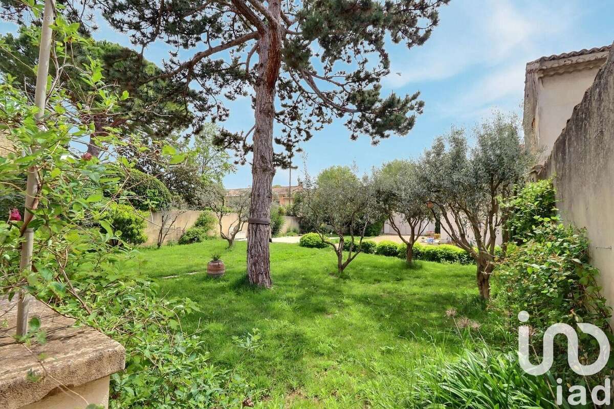 Photo 4 - Maison à SORGUES