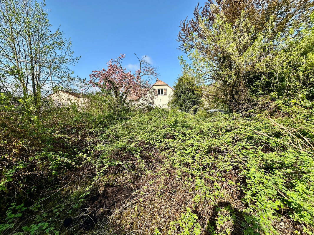 Maison à LUXEUIL-LES-BAINS