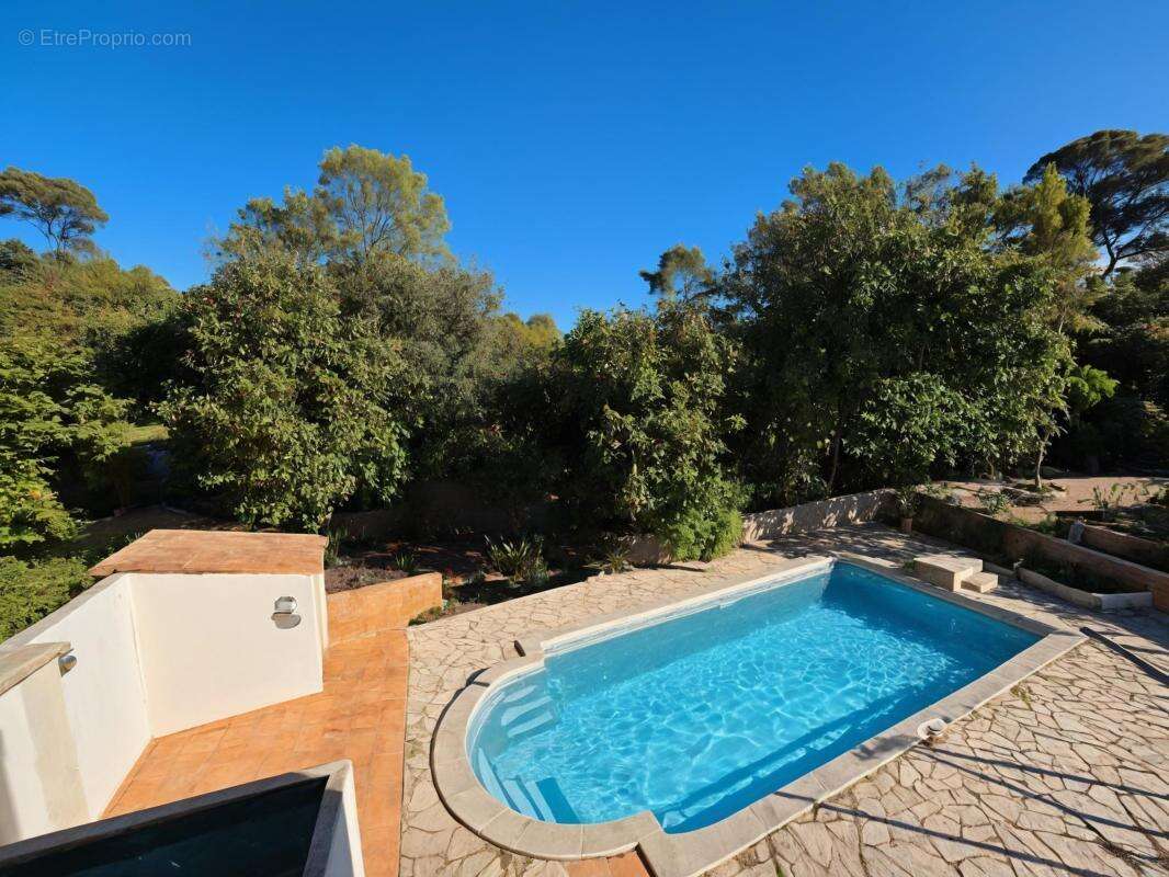 Maison à MONTPELLIER