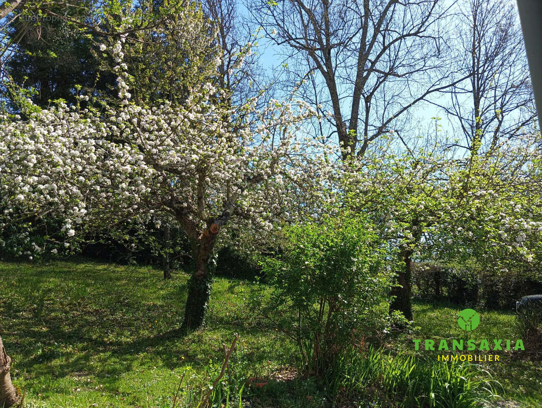 Maison à SAINT-LARY