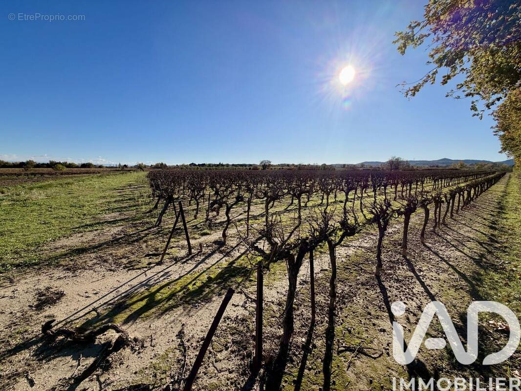 Photo 1 - Terrain à LAUDUN-L'ARDOISE