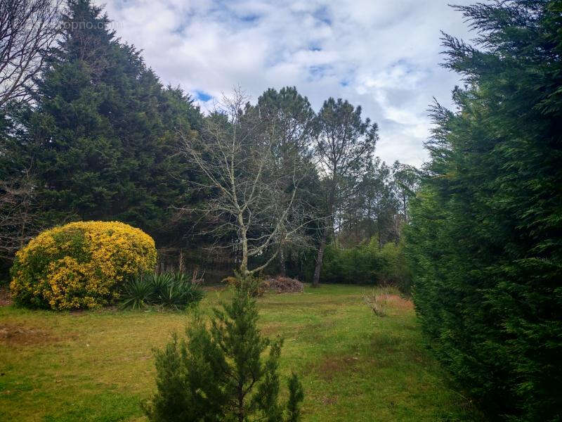 Maison à SAINT-VINCENT-DE-PAUL