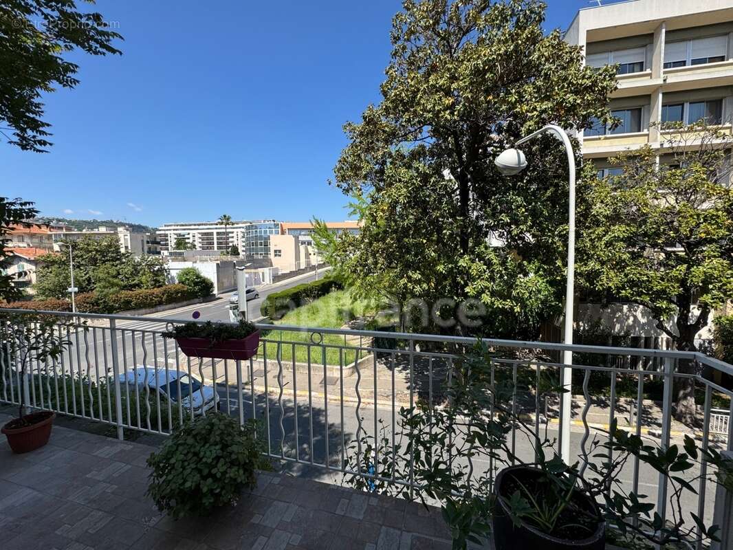 Murs grand local commercial – professions libérales possibles – 164 m² – terrasse / 2 parkings - photo 10