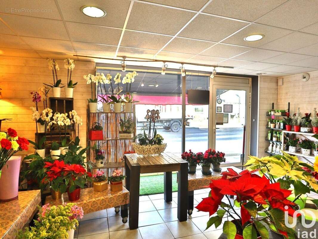 Photo 5 - Commerce à MONTOIR-DE-BRETAGNE