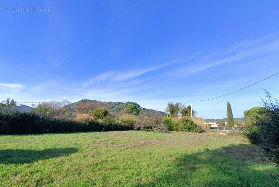 Terrain à VIDAUBAN