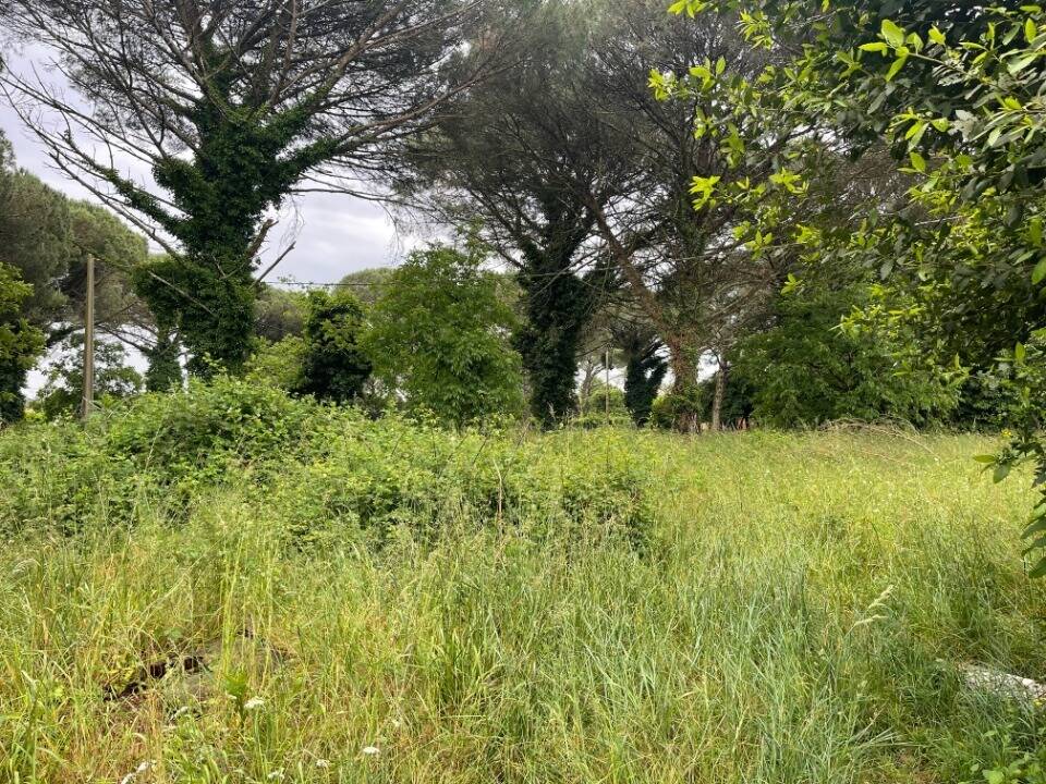 Terrain à LANGON