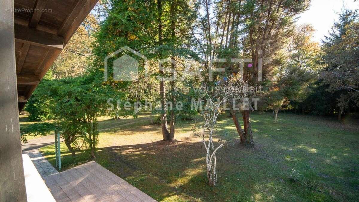 Photo 3 - Maison à MONT-DE-MARSAN