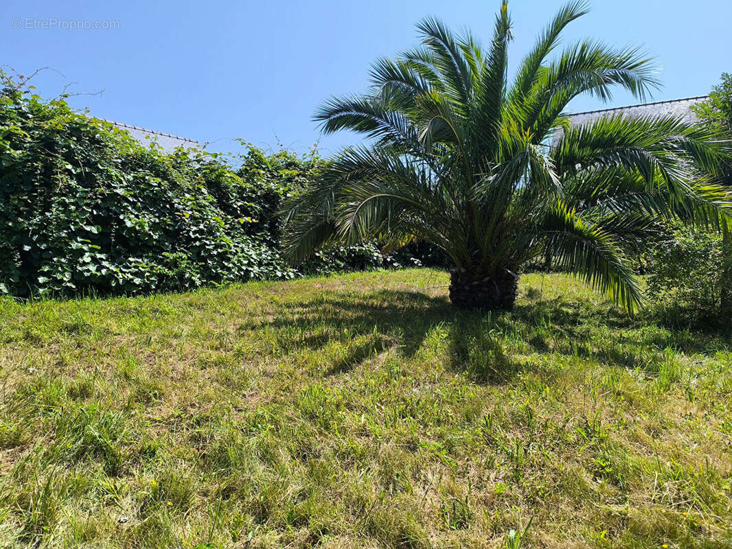 Guimaëc - Maison rénovée proche bourg - photo 12
