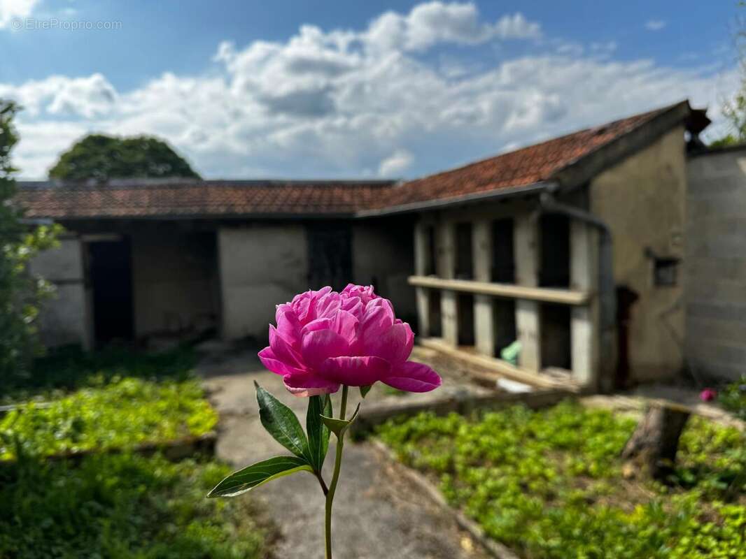 Maison 85 m² à Nanteuil-Sur-Marne  - photo 3