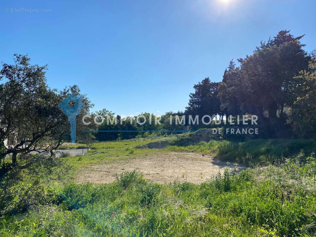 Terrain à ENTRAIGUES-SUR-LA-SORGUE