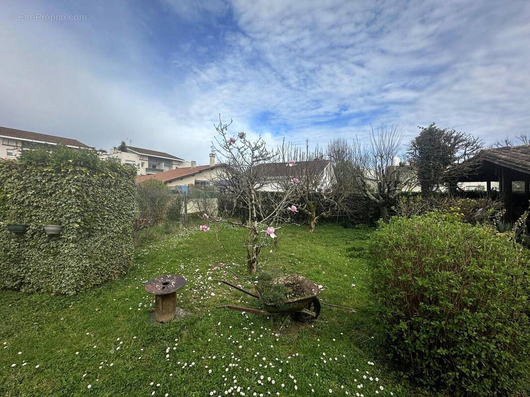 JARDIN - Maison à LE HAILLAN