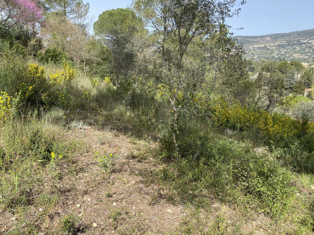 Terrain à PEYMEINADE