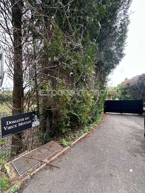 Terrain à MONTVILLE