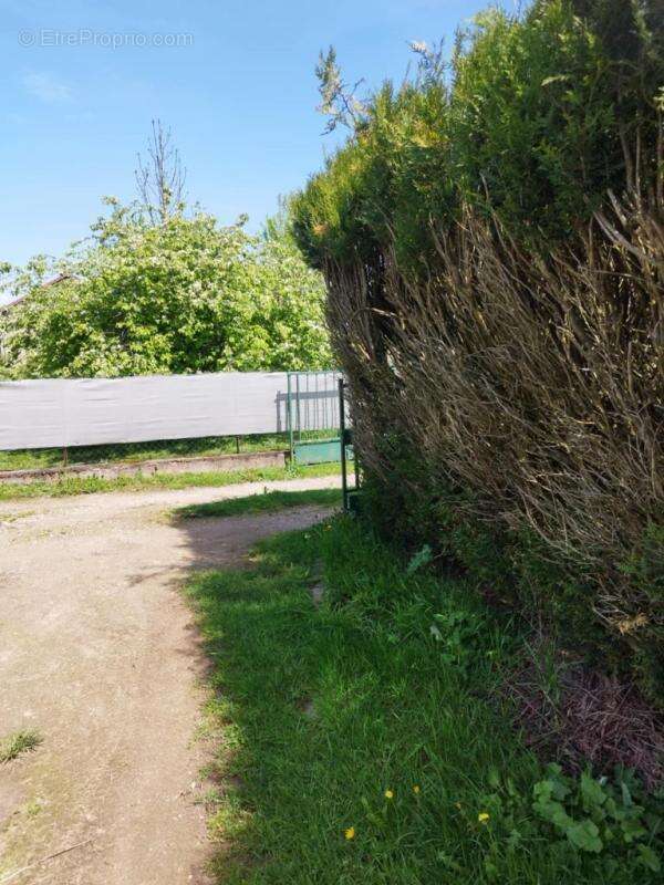 Maison à FROIDETERRE