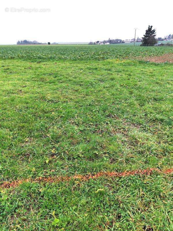 Commerce à TREMBLAY-LES-VILLAGES