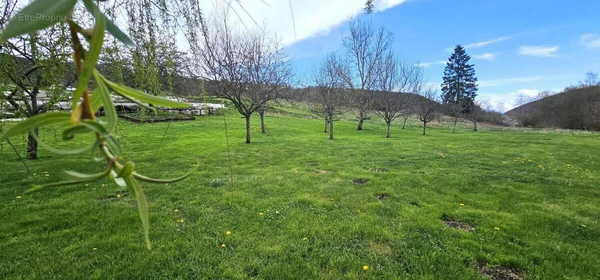 Maison à HAUTEVILLE-LOMPNES