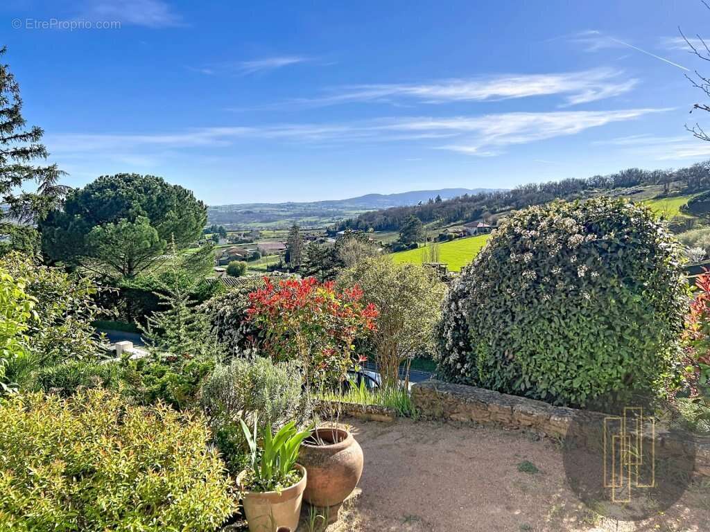 Maison à SAINT-JEAN-DES-VIGNES