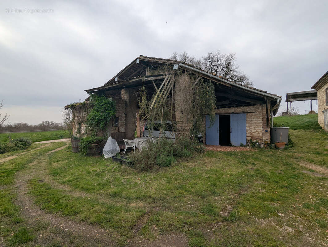 Maison à LISLE-SUR-TARN