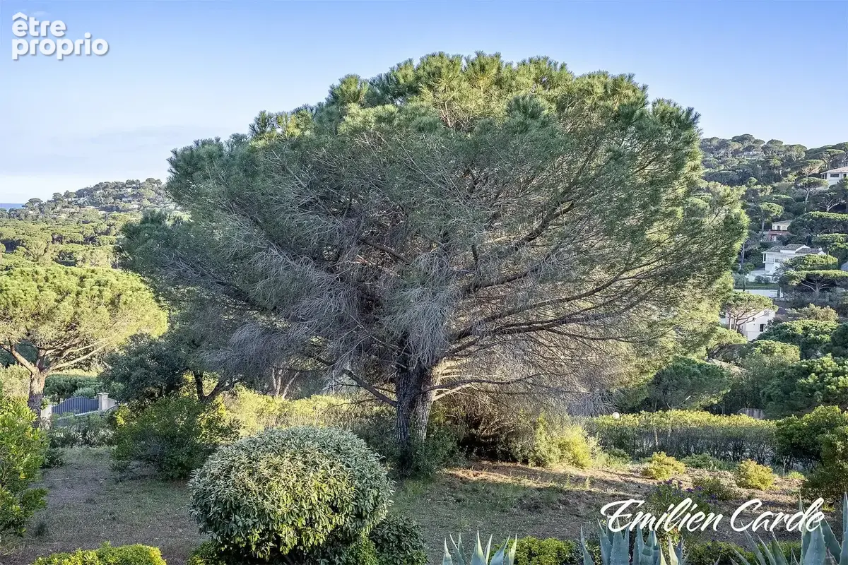 Terrain 1725 m² à Sainte-Maxime  - photo 3