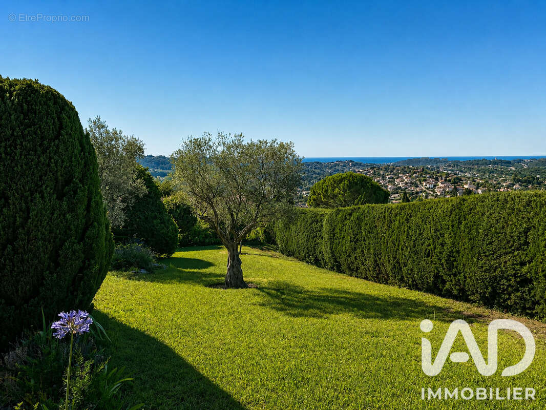 Photo 6 - Maison à LA COLLE-SUR-LOUP