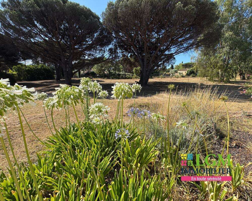 Maison à RAMATUELLE