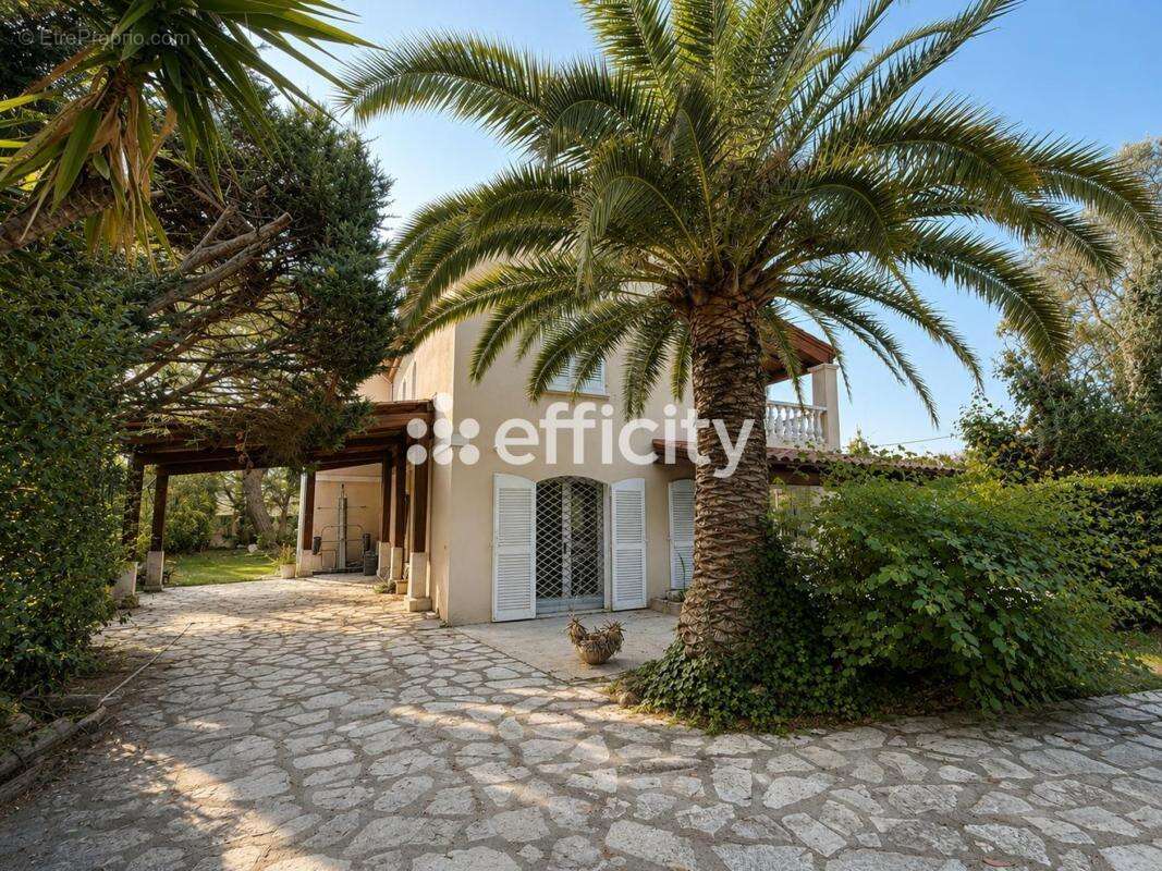Maison 286 m² à Antibes  - photo 2
