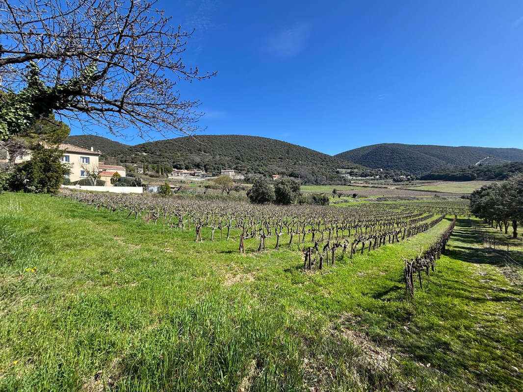 Terrain à ROUSSET-LES-VIGNES