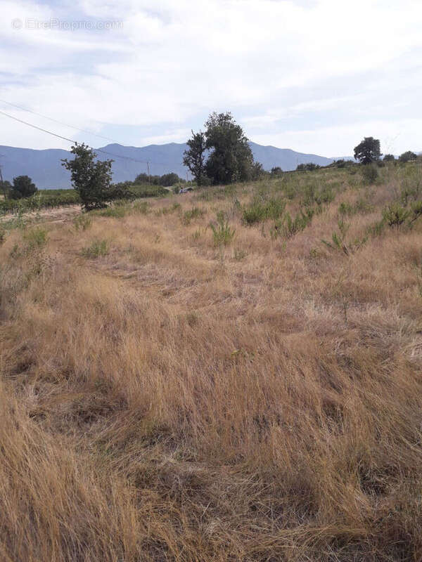 Terrain à BROUILLA